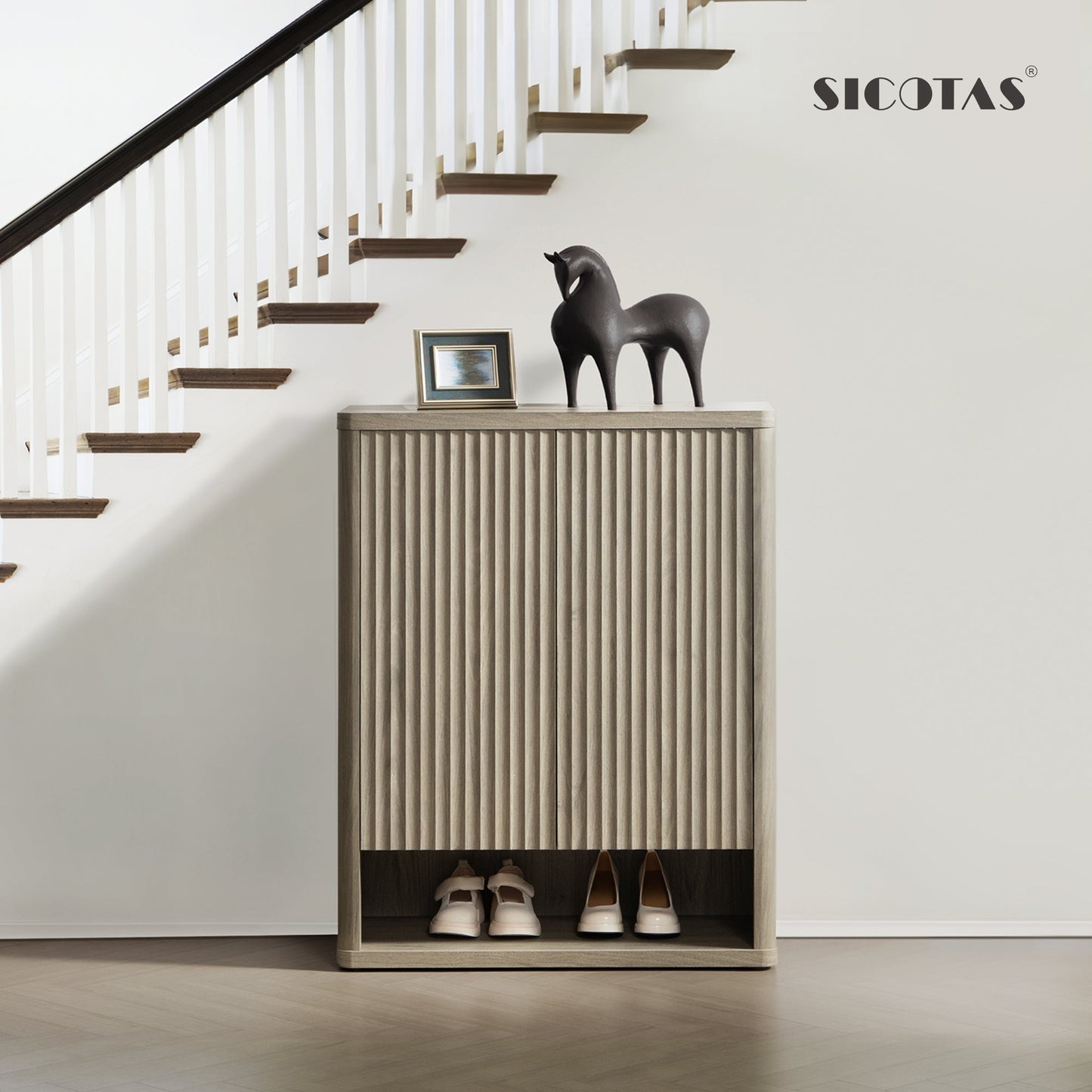 Armoire à chaussures Cas avec portes