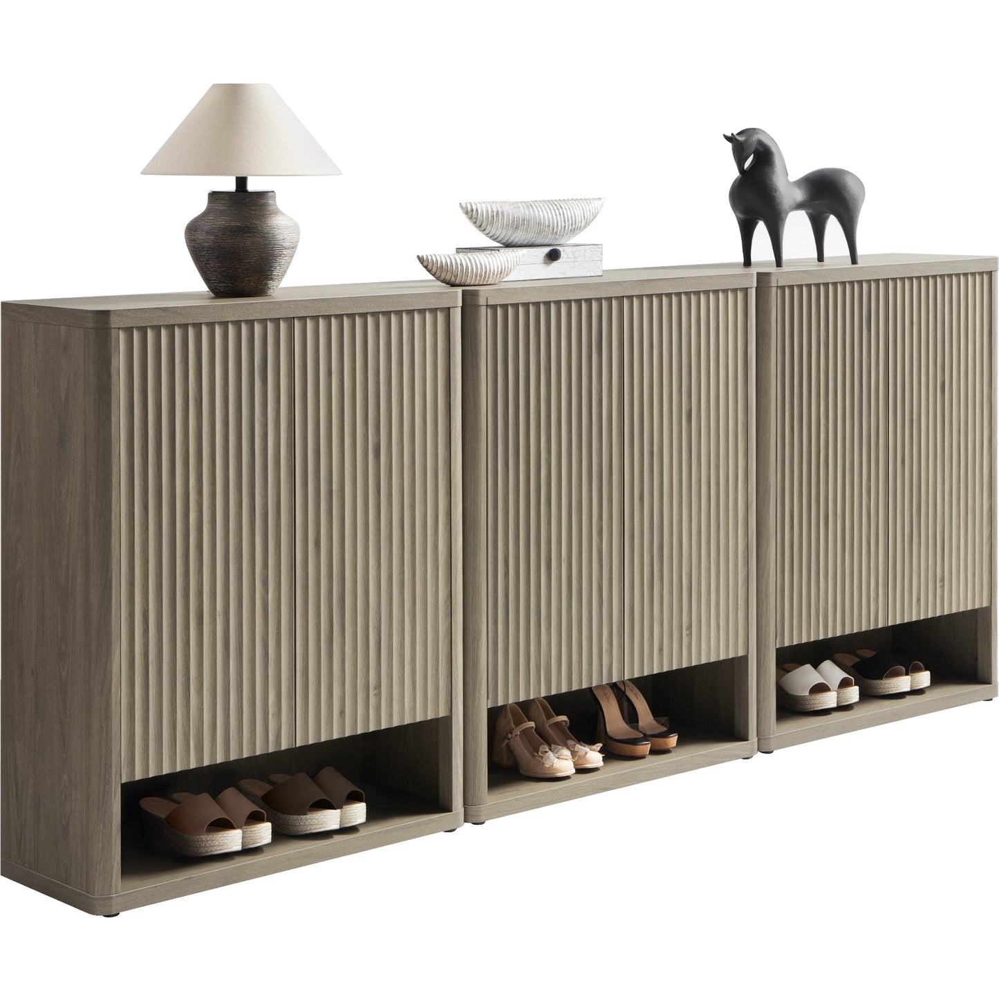 Armoire à chaussures Cas avec rangement