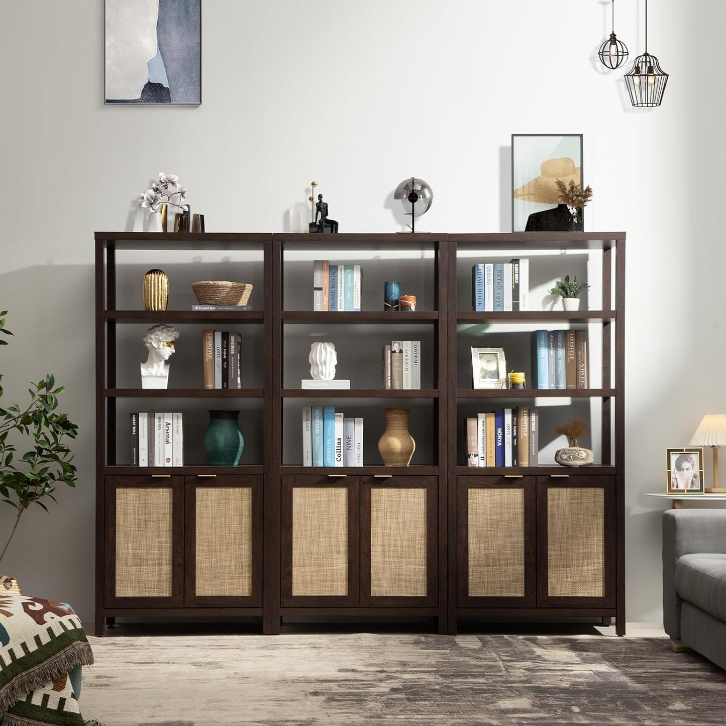 Bibliothèque haute Savanna