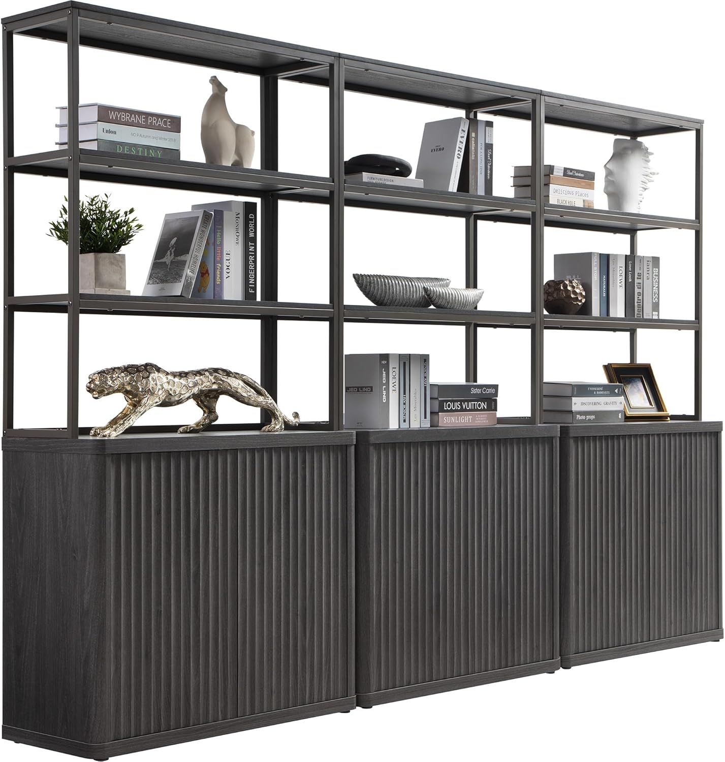 Bibliothèque Cas avec rangement
