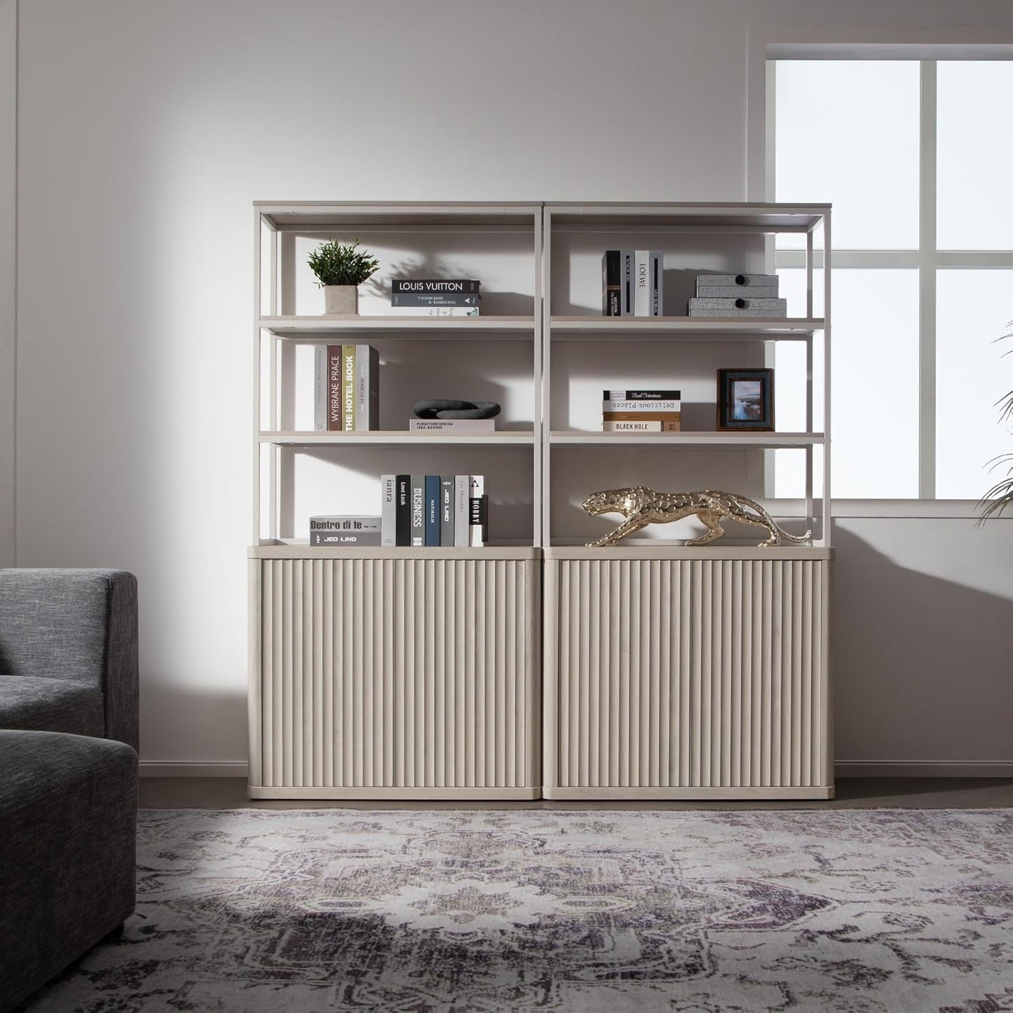 Bibliothèque Cas avec rangement