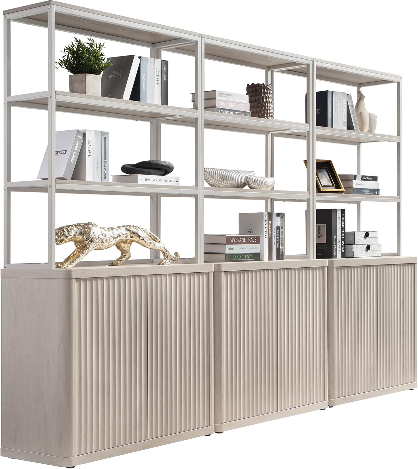 Bibliothèque Cas avec rangement
