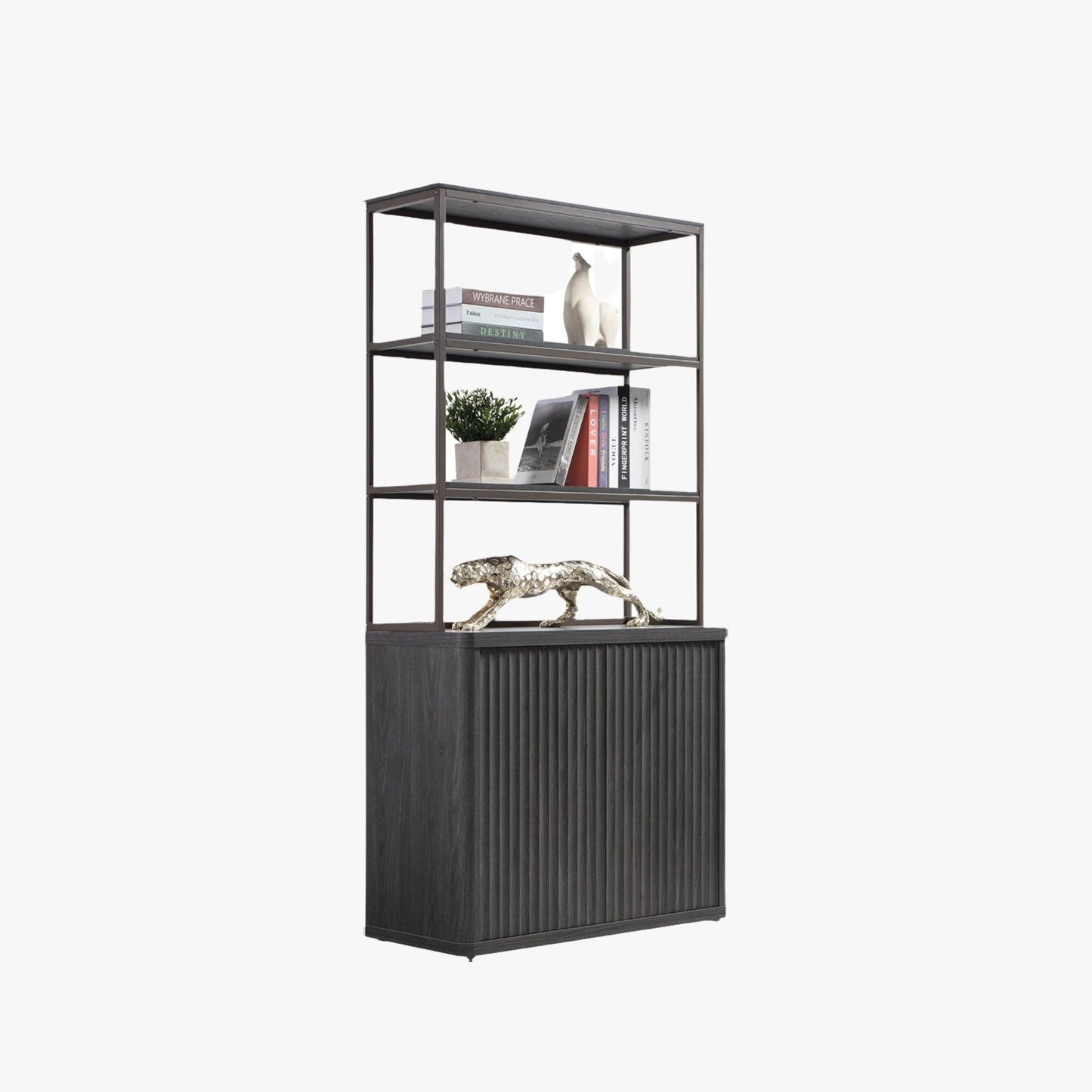 Bibliothèque Cas avec rangement