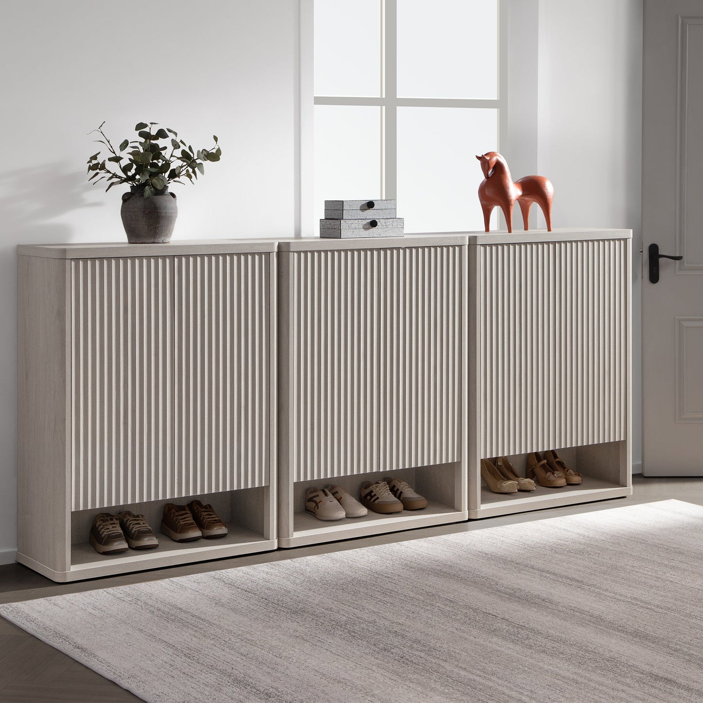 Armoire à chaussures Cas avec rangement