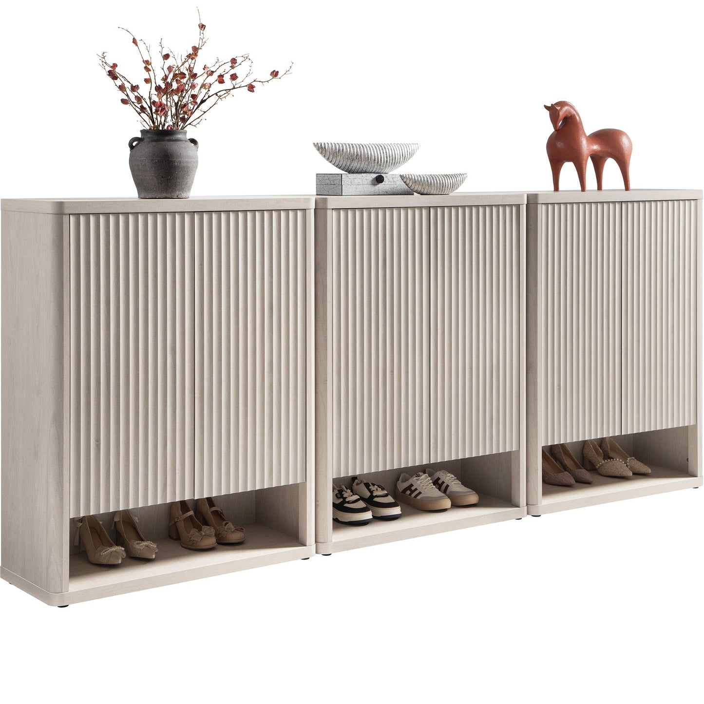 Armoire à chaussures Cas avec rangement