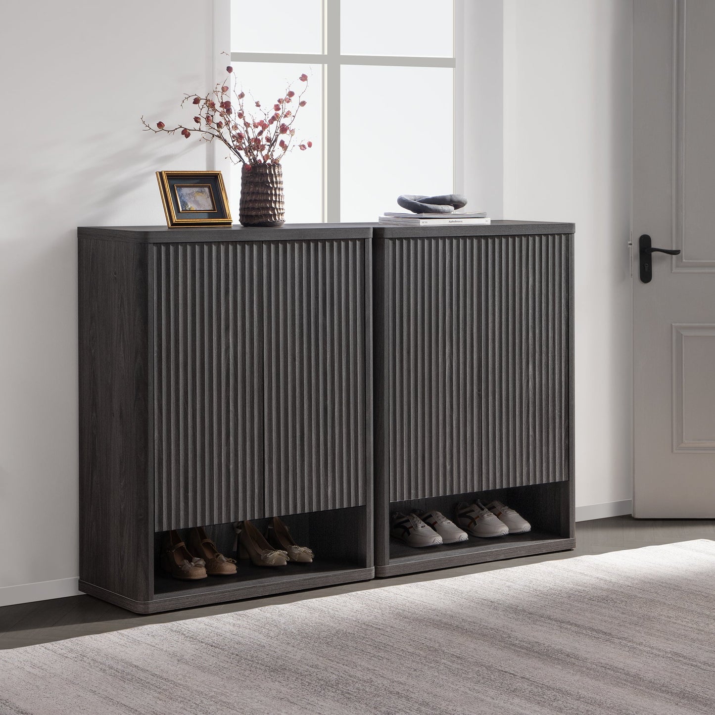 Armoire à chaussures Cas avec rangement