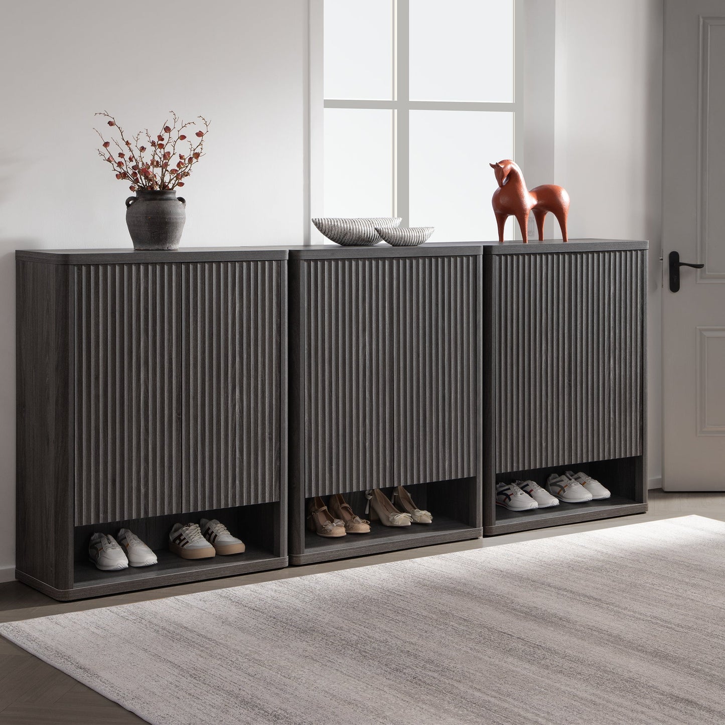 Armoire à chaussures Cas avec rangement
