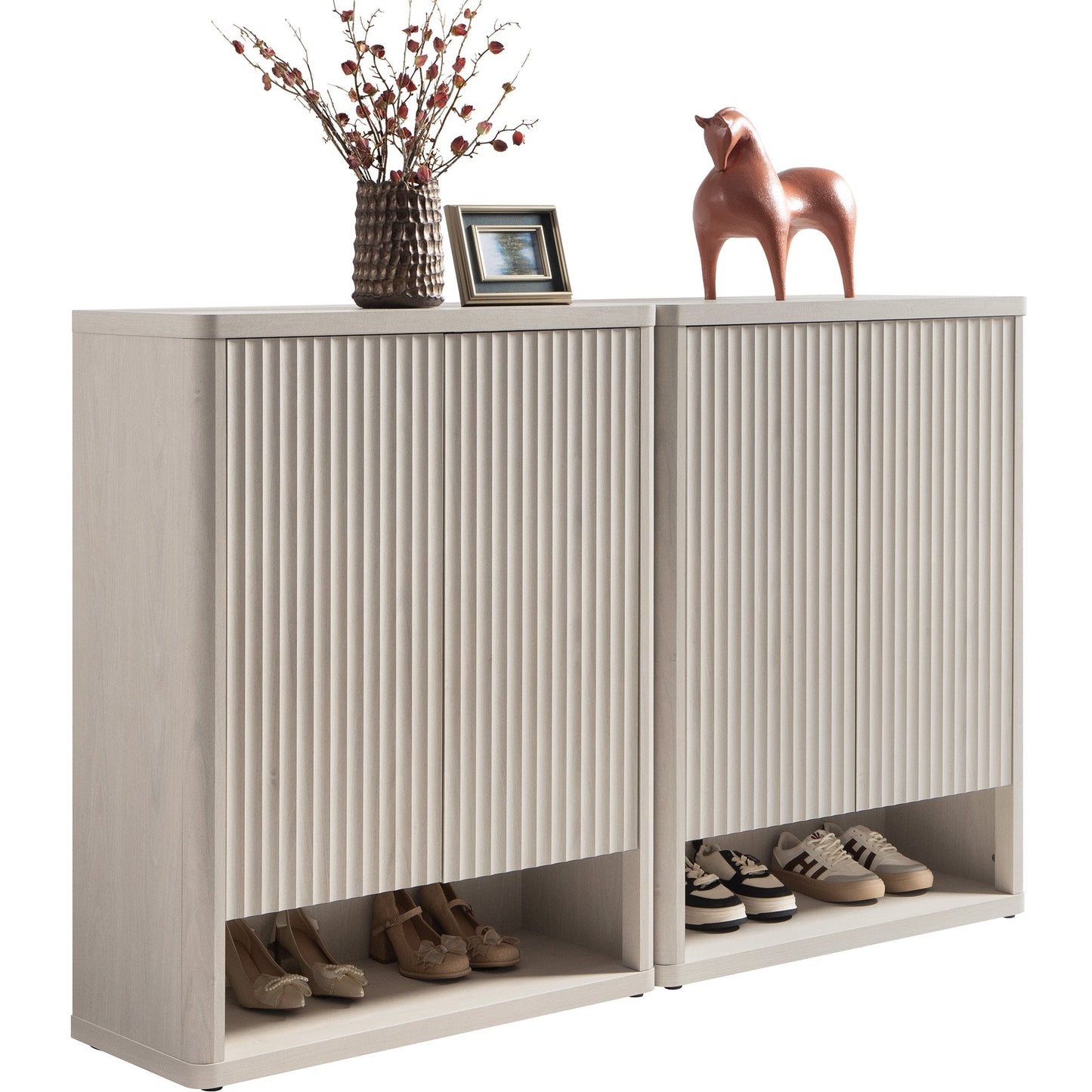 Armoire à chaussures Cas avec rangement