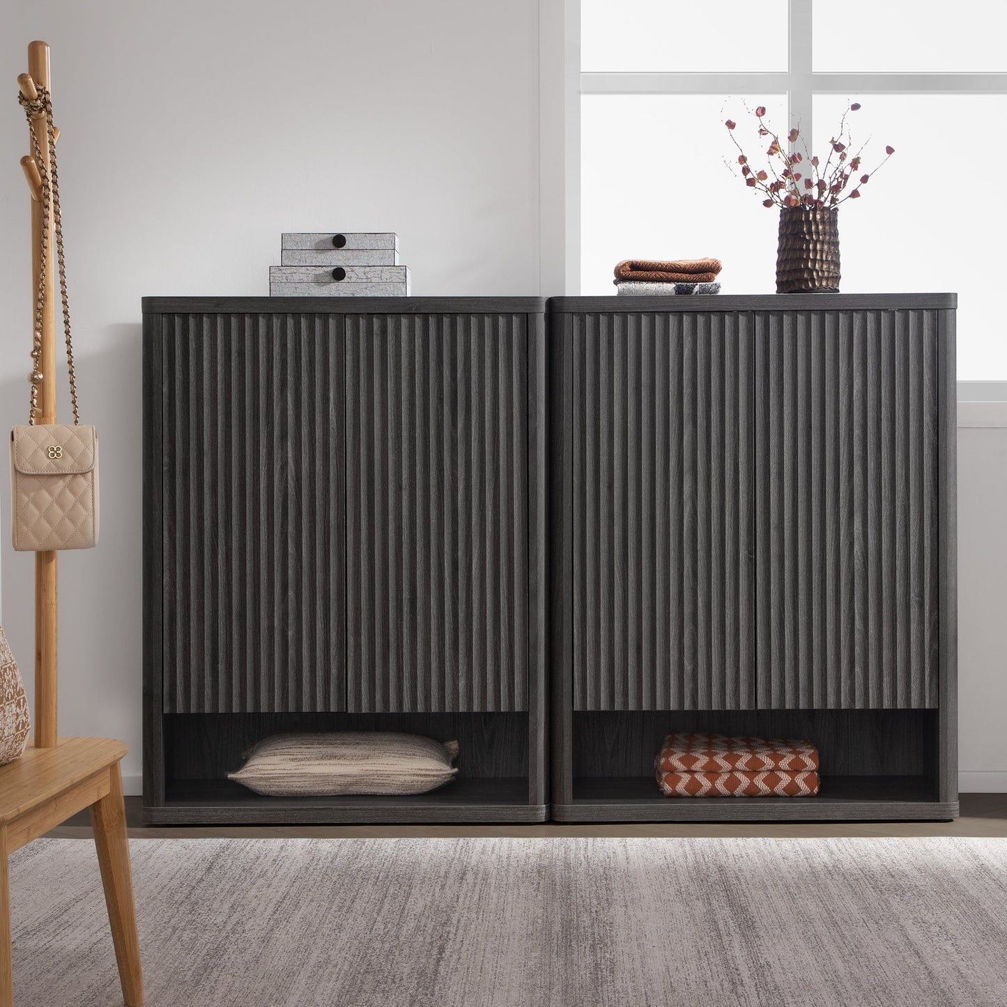 Armoire à chaussures Cas avec rangement