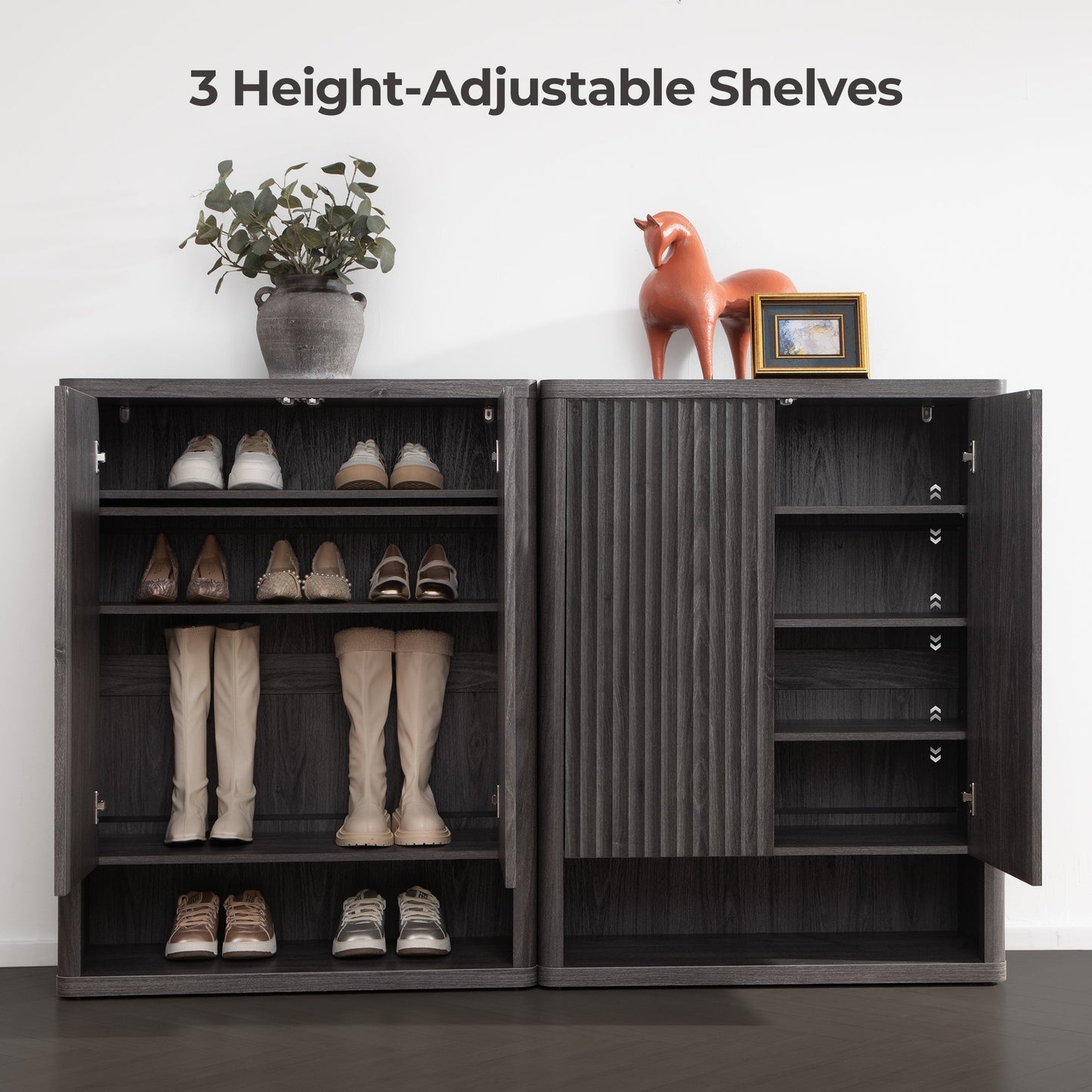 Armoire à chaussures Cas avec rangement