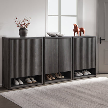 Armoire à chaussures Cas avec portes 